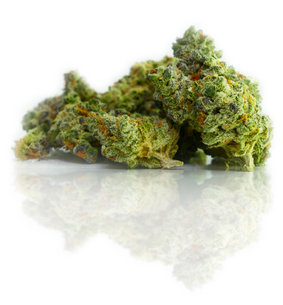 amy-maciel-fM_FopRNSoU-unsplash amy-maciel-fM_FopRNSoU-unsplash