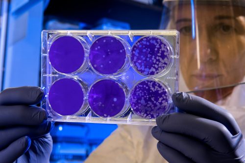 Cannabis Innovation Lab Test