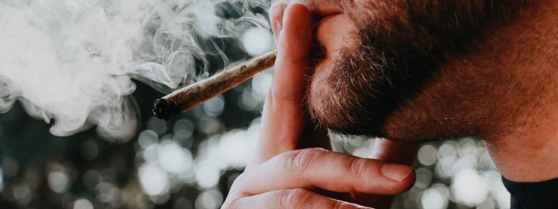 elsa-olofsson-zocDX97pH6k-unsplash elsa-olofsson-zocDX97pH6k-unsplash